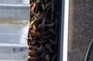 Gutter Cleaning