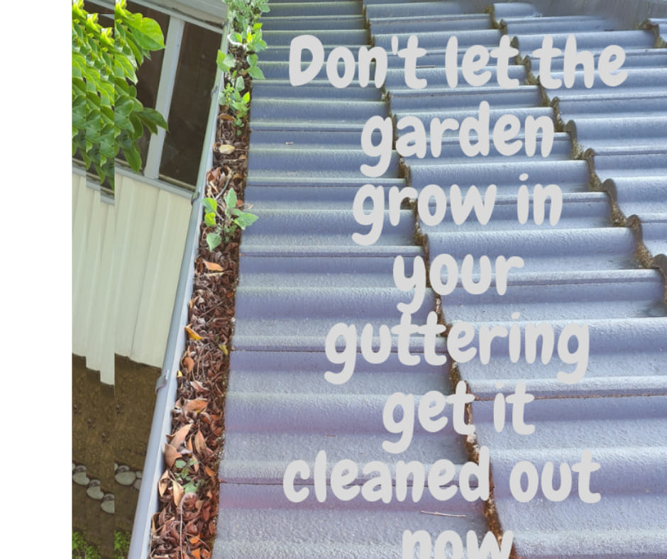 Auckland House Washing KCH Cleaning Company